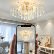 Modern Crystal Teardrop Clear Shades Chandelier
