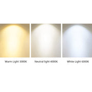 Modern Long Tube Cylindrical Suspension Pendant Light