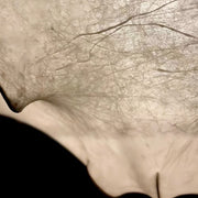 French Retro Wabi-Sabi Cream Style Pendant Light